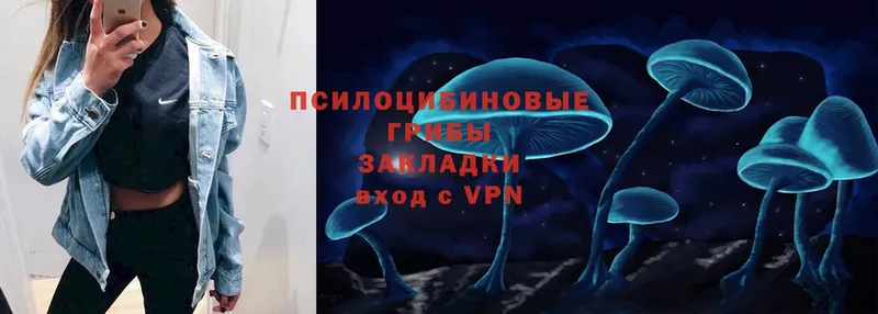 Псилоцибиновые грибы Psilocybe Уварово